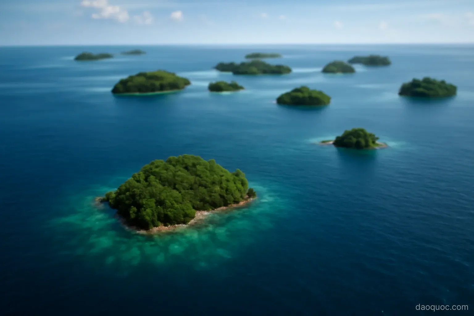 a scattering of tiny green islands in a vast expanse of deep blue open ocean